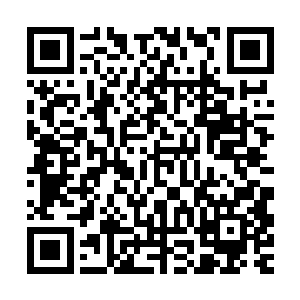 苏氏一族在他登基之后凭借是皇太后的母族已经得到了不少恩惠二维码生成