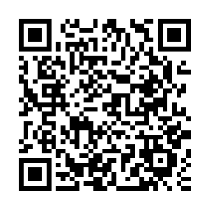 苏波战争最终被定性为一次推进世界无产阶级革命的一次尝试二维码生成