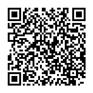 苏澈便看到幽深得一眼望不见底的洞窟石壁上被安放了硕大的夜明珠二维码生成