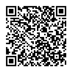 苏澈就已经用五行功法如法炮制地将适合觉非罗和区长镜的灵气渡了过去二维码生成