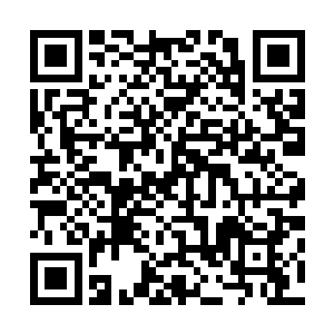 苏爸和苏阮阮带着小茹珊再去医院进行了一次全方面的检查二维码生成