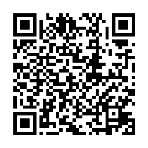 苏疡医原是殷婴和殷暖习武的时候安排跟在身边的疡医二维码生成