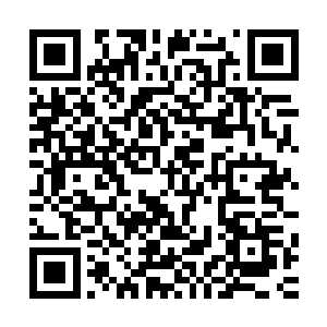 苏芷妍在回家之前已经把阿及亚谈的项目传回来给苏维信看过二维码生成