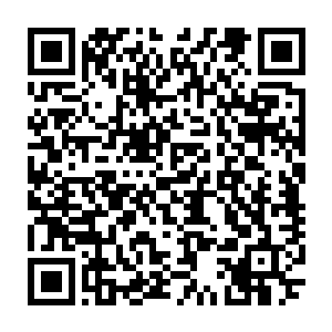 苏芷妍自然不会像她弟弟一样把杨肖玫看成可以任权贵们调戏羞辱的戏子二维码生成