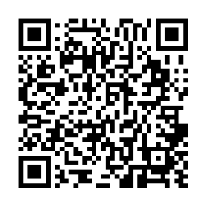 苏菲他们现在所住的还是爵爷当时找人建造的第一栋别墅二维码生成