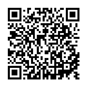 苏落仔细计算了一下郁今歌所在的洞口与城主府护卫的距离二维码生成