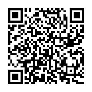 苏青城和二板狗子一人寻了一块泥巴干得差不多的稻田就下去了二维码生成