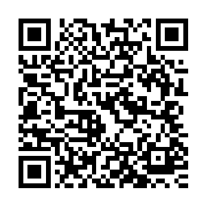 苏青黛大概也就模模糊糊看到那锁子上刻着一堆弯弯斜斜的符号二维码生成