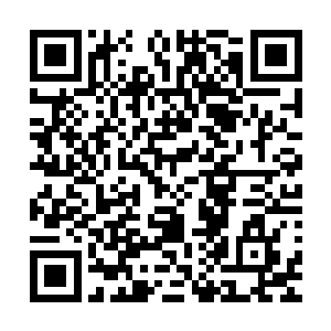 苏鲁族战士每次都是把两部小皮卡停在福特猛禽大皮卡的两边二维码生成