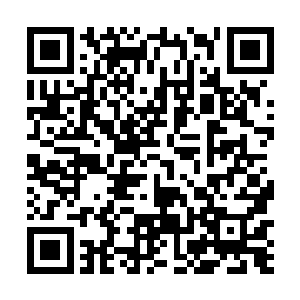 苗大洞主似乎已经渐渐领略了一点游戏规则的使用方法二维码生成