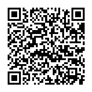 苗忠伟和赵咏君两人却是将这十位黑衣人的尸体给抬在一处给埋了二维码生成