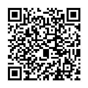 苗毅年纪轻轻如此熟练的应付群攻手段显然是经过长期训练的二维码生成