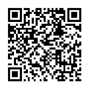 苗翠花脑海里实在没办法勾勒出白蔹失魂落魄究竟是什么模样二维码生成