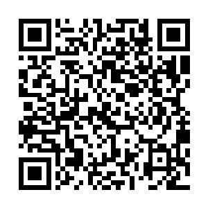 苟治良甚至郭怀章会不会觉得自己是在刻意挑衅他们苟家呢二维码生成