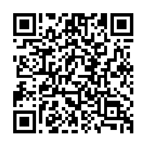若不是之前的时候沧海宗让杨戬击杀和算计陨落了不少高手的话二维码生成