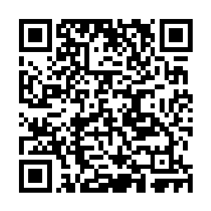 若不是他的眼角还红着根本看不出刚才愤怒质问的人是他二维码生成