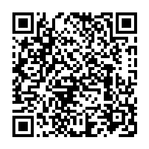 若不是后来……或许他们真的碰到了周天世界的残留的绝世高手也说不定二维码生成