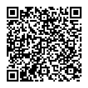 若不是她的神识不小心扫到一眼笛生尔在忙活的时候看向站在门口僵硬到淡定的她二维码生成