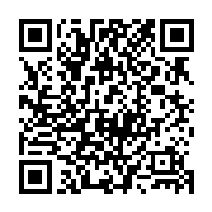 若不是林扬在主神空间给他炼制了一件可以随意变幻的衣服二维码生成