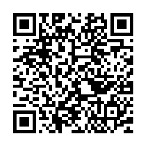 若不是林辰能够确定那星门老者的确是一名货真价实的天级武者二维码生成