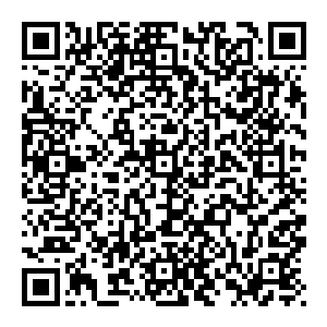 若不是界珠的不稳定 若不是这两股意志的较量已经到达了最巅峰 不然的话 就算十个金丹大能到此 也无法轰开这道天险壁障二维码生成