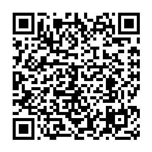 若不是看到下方继续变小的事物根本想不到他们现在竟是在飞快的上升二维码生成
