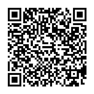 若不是这一枚珍珠是放在这个价值连城的极品沉香木盒子里面的话二维码生成