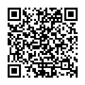 若不是院长大人强行将他们押走恐怕已经冲进寒洞去寻叶尘了二维码生成