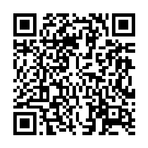 若是任其继续发展下去……梓箐感觉一股寒意从脚底升起二维码生成