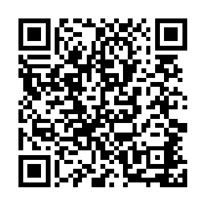 若是你的实力跟你的嘴巴一样厉害的话或许我还会怕你三分二维码生成