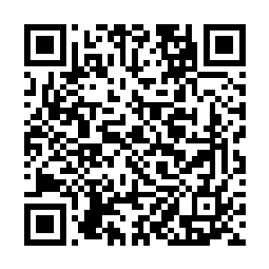 若是南极老祖不设定一些磕磕绊绊的规则倒也没什么二维码生成