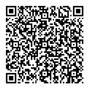 若是原原本本的修炼 那么最强也不过是达到犼尊的级数 如此强悍的犼尊都有陨落的时候 那么 何不如超越极限打破极限二维码生成