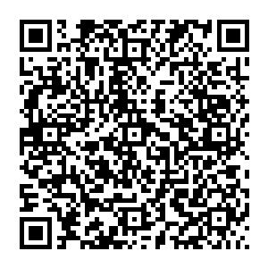 若是寻常人 也许还会忌惮一番 但篇篇鬼冥不一样 他不仅仅是元婴大能 更是这一代的接引之人二维码生成