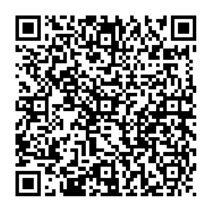 若是平时增长了力量　或许还会感到兴奋　但在这诡异的地方　忽然增长了力量　这简直就是骇人二维码生成