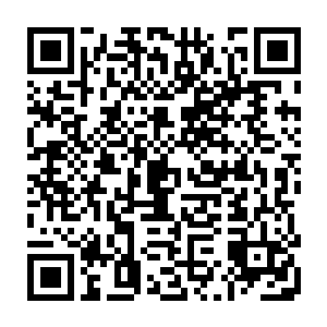 若是我连身为亡灵的你们都无法胜出　何谈什么拯救僵尸一族　何谈改天换地　二维码生成