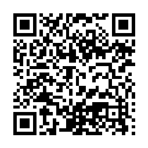若是没有基础的灵气修为作为补寄的话就算是你学会了炼器二维码生成