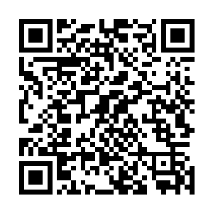 若是真的论起观众粉丝的数量的话……我在你们华夏的粉丝二维码生成