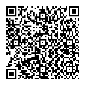 若是让玩家在五十天那么长的周期内天天按时去做某件事……无疑会造成心理压力和一定程度上的反感二维码生成