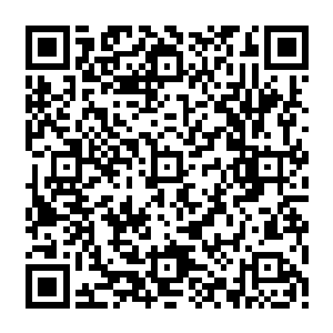 若是这一次的海底灵堡之行戚家出现了什么变故而没有办法得到自己预想之中的好处二维码生成