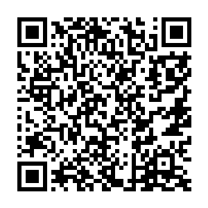 若是龙泰见过当日杨开在赤星议事大殿中斩毒娘子和甘宏如屠鸡狗二维码生成