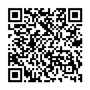 若真的是他带走的话那我们无论怎么找也不可能找得到他们了二维码生成