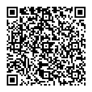 英俊过火的年轻兽医面无表情的看着自己刚刚采购的诊疗台就这样被戳出一个个明显无法修补的痕迹二维码生成