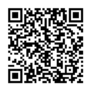 英王看着步辇内慵懶的斜靠在软垫上的风暮寒不由得微微摇头二维码生成