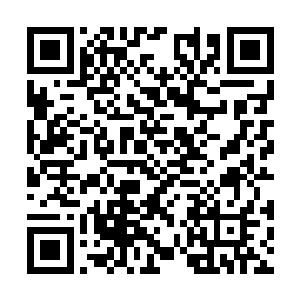 茂密的草叶丛林一下子便让巨齿鼠的行动迟钝起来二维码生成