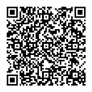 范莲并没有注意到随后进来的几个客人不动声色在自己和荀延生一起唱歌时已经在不动声色拍了几张照片二维码生成