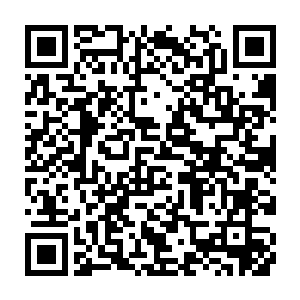 茱莉娅公司由总经理杜威廉亲自带领的专家团终于到达了史中通的研究室二维码生成