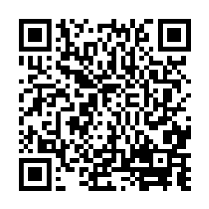 草皮纸上所描绘的是一头巨大的类似四脚蛇一样的生物二维码生成