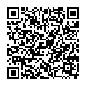 荒兽乃是天荒古战场之中无数的凶煞之气经过无数年孕育出来的存在二维码生成