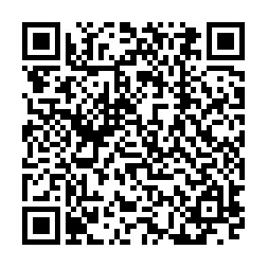 荒野之家所提供的服务几乎包括了在野外拓荒定居所需要面对的一切问题二维码生成