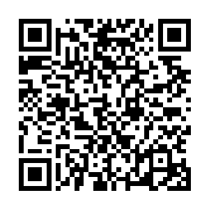 荣光从未在任何公开场合表达过他对伊布拉希莫维奇的不满二维码生成